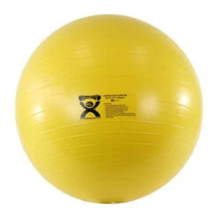 CanDo Deluxe ABS Extra Thick Inflatable Exercise Stability Balls