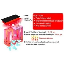 TherMedic Far Infrared Heating Brace With Heating/Thermal Pad And Ice Pack For Lower Back Pain -Health Care Store 51Icq3EWSVL