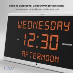 Reminder Rosie 2.0 Stress Free Alarm Clock That Responds To Verbal Personal Voice Commands -Health Care Store 61AfJ5P7ZdL. AC SL1500