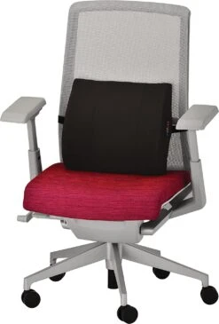 Nova Medical Memory Foam Lumbar Cushion With Stabilization Board Insert -Health Care Store 81ipedRQoAL. AC SL1500