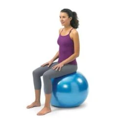 Gymnic Classic Plus Exercise Stability Balls -Health Care Store LE65B gymnic classic plus 65cm blue sitting