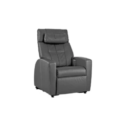 Positive Posture Luma True Zero Gravity Power Recliner With Lift Assist -Health Care Store SEN 4567 83 629eb220 749f 44c5 a12c d804c3eb8b39