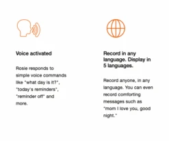 Reminder Rosie 2.0 Stress Free Alarm Clock That Responds To Verbal Personal Voice Commands -Health Care Store ScreenShot2021 10 26at1.14.48PM