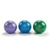 OPTP Stott Pilates® Weighted Toning Balls 2 OPTP Stott Pilates® Weighted Toning Balls -Health Care Store toning balls